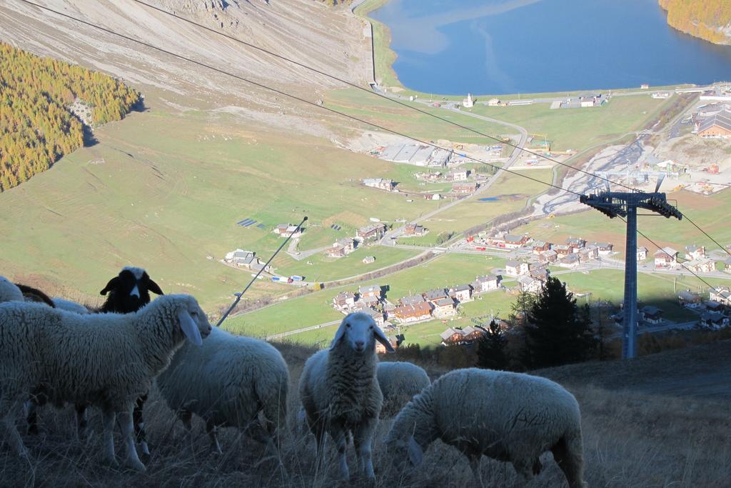 Aparthotel Del Sole Per Gruppi